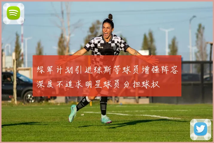 绿军计划引进琼斯等球员增强阵容深度不追求明星球员分担球权